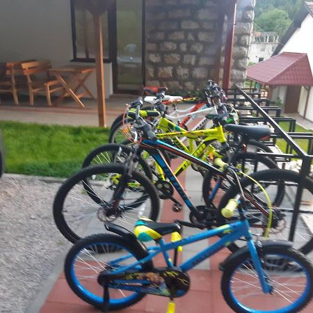 Hotel Sobe Gmitrovic Rtanj Esterno foto